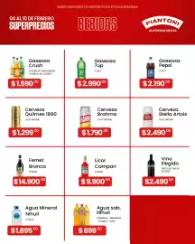 Catálogo Piantoni Supermayorista semana 6 Página 4