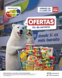 Catálogo Surtifamiliar Página 1
