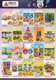 Delta Centre catalogue Page 4