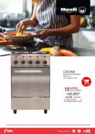 Revista Fava Página 21