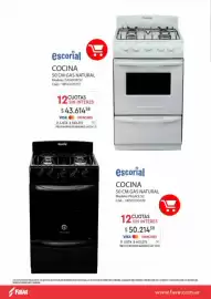 Revista Fava Página 22