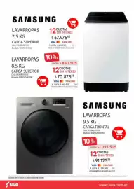 Revista Fava Página 30