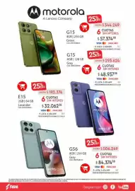 Revista Fava Página 7