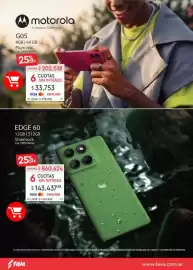 Revista Fava Página 8