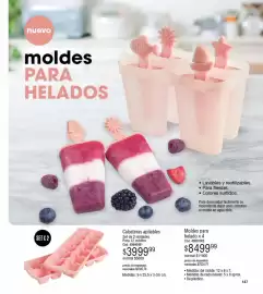 Catálogo Millanel Cosmética Página 171