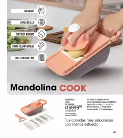 Catálogo Millanel Cosmética Página 181