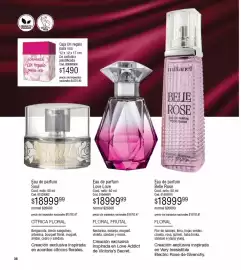 Catálogo Millanel Cosmética Página 36