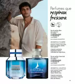Catálogo Millanel Cosmética Página 41