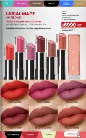 Folleto Gigot Página 51