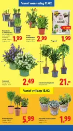 Lidl folder week 7 Pagina 15