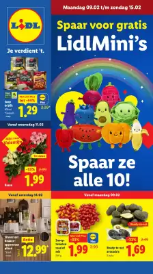 Lidl folder (geldig t/m 14-02)