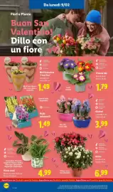 Volantino Lidl settimana 7 Pagina 36