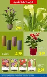 Folheto Lidl | Novidades Página 19