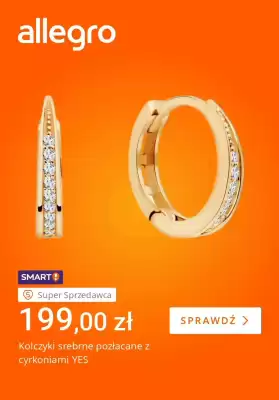 Allegro gazetka (ważność do 12-02)