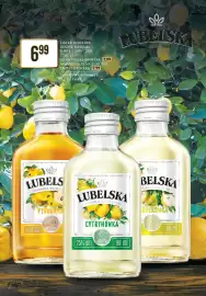 Dino gazetka tydzień 7 Strona 6