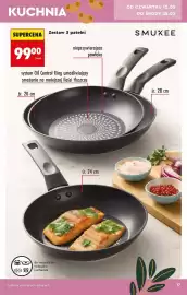 Biedronka gazetka Strona 17