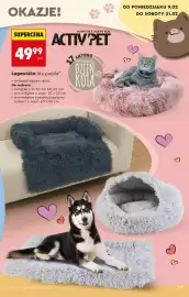 Biedronka gazetka Strona 29