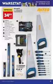 Biedronka gazetka Strona 43