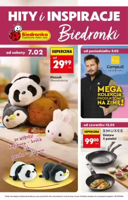 Biedronka gazetka (ważność do 7-03)