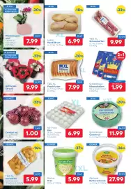 T&G Flugblatt Seite 2