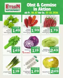 ETSAN Flugblatt Seite 1