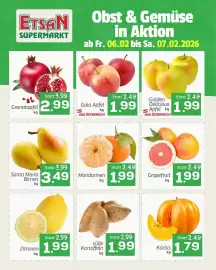 ETSAN Flugblatt Seite 2