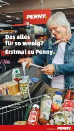 PENNY Prospekt woche 7 Seite 17