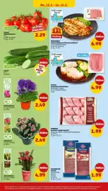 PENNY Prospekt woche 7 Seite 26