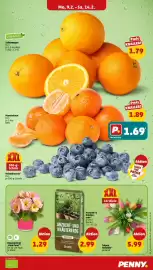 PENNY Prospekt woche 7 Seite 3