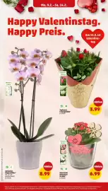 PENNY Prospekt woche 7 Seite 4