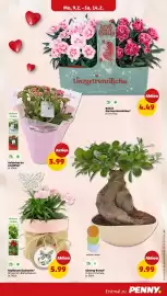 PENNY Prospekt woche 7 Seite 5