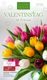 Pflanzen Kölle Prospekt woche 7 Seite 1