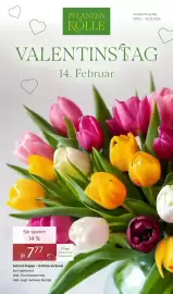 Pflanzen Kölle Prospekt woche 7 Seite 1