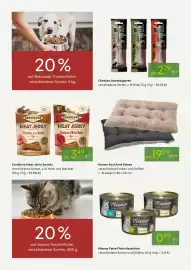 Pflanzen Kölle Prospekt woche 7 Seite 12