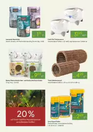 Pflanzen Kölle Prospekt woche 7 Seite 13