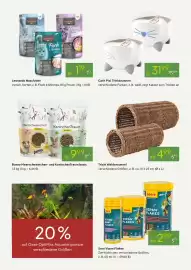 Pflanzen Kölle Prospekt woche 7 Seite 13