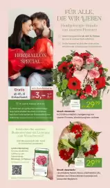 Pflanzen Kölle Prospekt woche 7 Seite 2