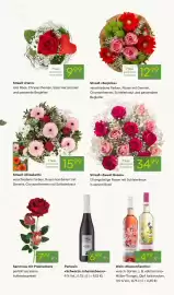 Pflanzen Kölle Prospekt woche 7 Seite 3