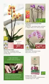 Pflanzen Kölle Prospekt woche 7 Seite 4