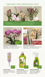 Pflanzen Kölle Prospekt woche 7 Seite 5
