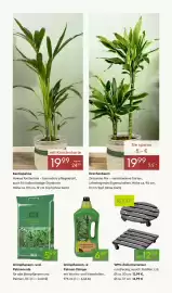 Pflanzen Kölle Prospekt woche 7 Seite 7