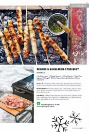 Combi Magazine Seite 17