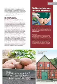 Combi Magazine Seite 43