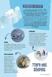 Combi Magazine Seite 68