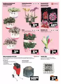 V Baumarkt Prospekt woche 7 Seite 2