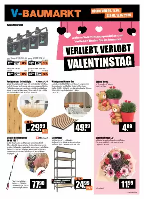 V Baumarkt Prospekt (gültig bis 19-02)