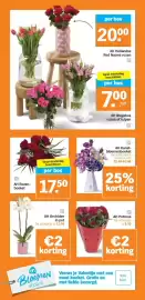 Albert Heijn folder week 7 Pagina 32