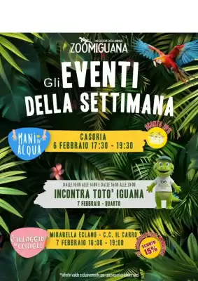 Volantino Zoomiguana (valido fino al 7-02)