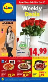 Lidl weekly ad week 7 Page 1