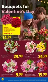 Lidl weekly ad week 7 Page 2